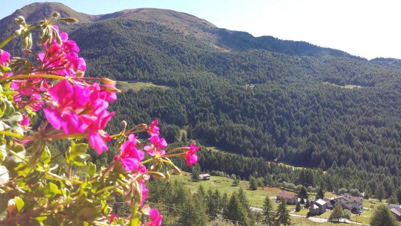 Hotel Belvedere Mountain Experience Monno Esterno foto